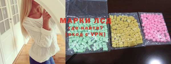 прущие грибы Абаза