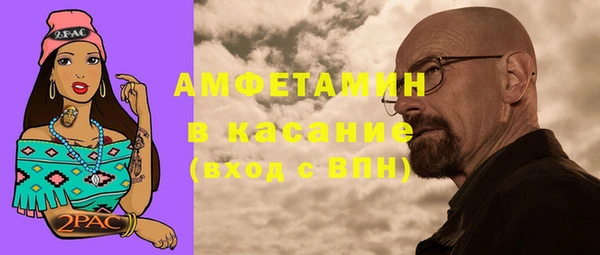 прущие грибы Абаза