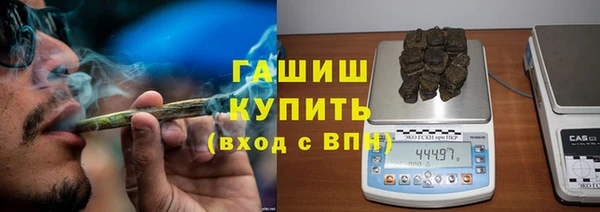 прущие грибы Абаза