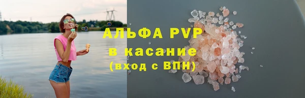 прущие грибы Абаза