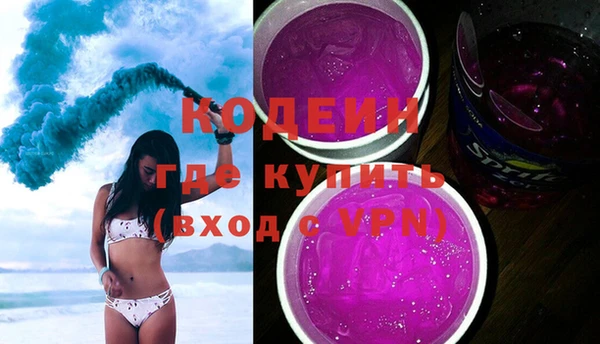 прущие грибы Абаза