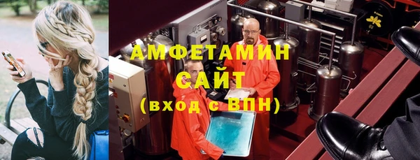 прущие грибы Абаза