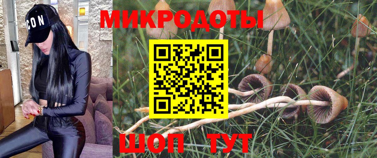 Нальчик  Псилоцибиновые грибы Cubensis  Галлюциногенные грибы ЛСД  Вход с VPN 