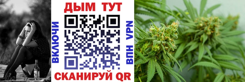 купить наркоту  Нальчик  Бошки Шишки сатива 