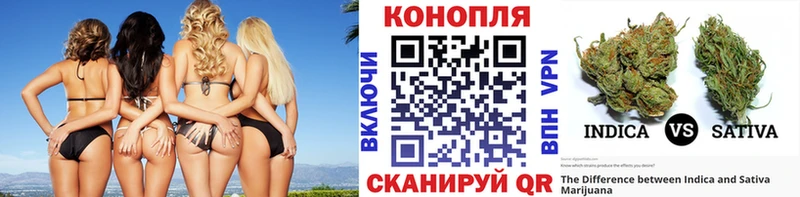 Каннабис гибрид Нальчик
